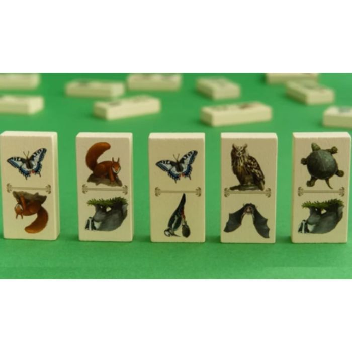 Настільна гра Capstone Games Renature (Розквіт), англійська (5060226932955) зображення 3