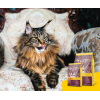 Сухий корм для кішок Josera Senior 10 кг (4032254757856) зображення 7