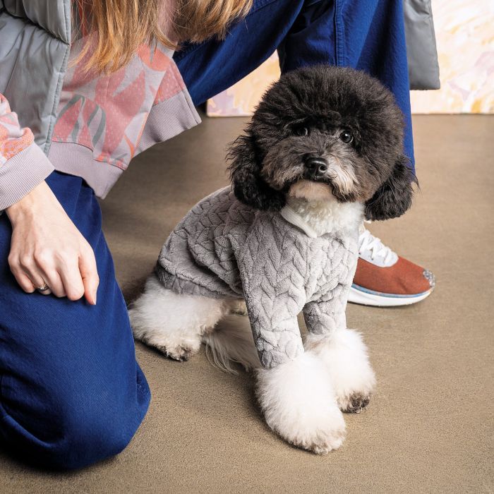 Толстовка для тварин Pet Fashion DELICATE XS (сіра) (4823082429813) зображення 3