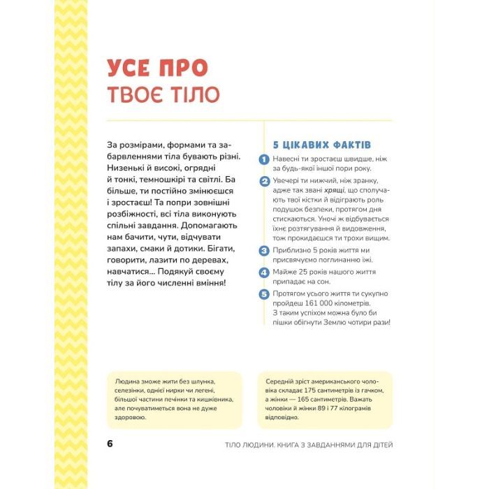 Книга Тіло людини. Розвивальні завдання для дітей - Кеті Стокс Vivat (9789669425218) изображение 4