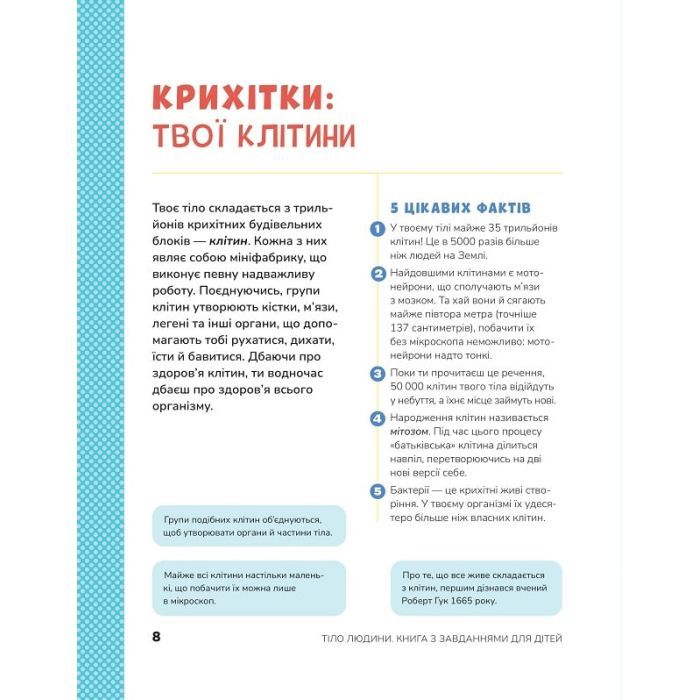 Книга Тіло людини. Розвивальні завдання для дітей - Кеті Стокс Vivat (9789669425218) изображение 6
