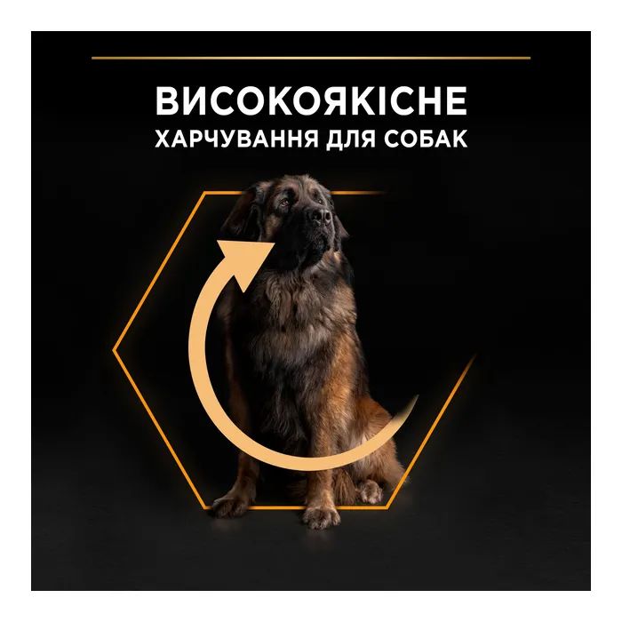 Сухий корм для собак Purina Pro Plan Dog Large Adult Robust з куркою 14 кг (7613035120426) зображення 6