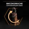 Сухий корм для собак Purina Pro Plan Dog Large Adult Robust з куркою 14 кг (7613035120426) зображення 6