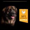 Сухий корм для собак Purina Pro Plan Dog Large Adult Robust з куркою 14 кг (7613035120426) зображення 7