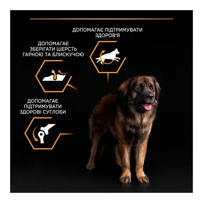 Сухий корм для собак Purina Pro Plan Dog Large Adult Robust з куркою 14 кг (7613035120426) зображення 8