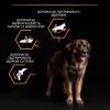 Сухий корм для собак Purina Pro Plan Dog Large Adult Robust з куркою 14 кг (7613035120426) зображення 8