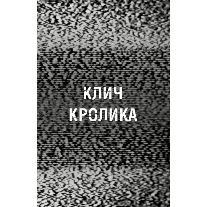 Книга Жахастики Фазбера. Книга 5: Клич кролика - Скотт Коутон, Еллі Купер, Андреа Рейнс Ваггенер BookChef (9786175483046) зображення 5