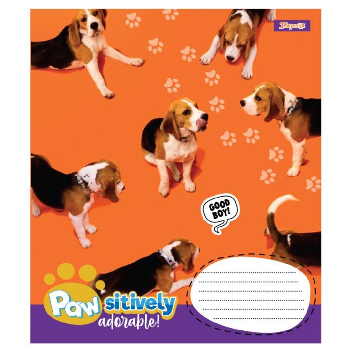 Тетрадь 1 вересня Pawsitively А5 18 листов линия (768239) изображение 2