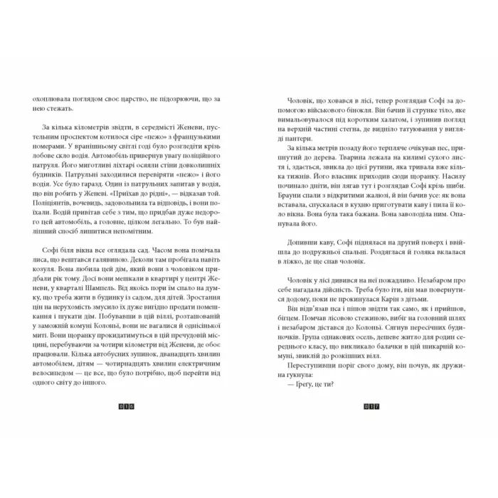 Книга Видавництво Старого Лева Дикий звір - Жоель Діккер (9789664484609) зображення 3