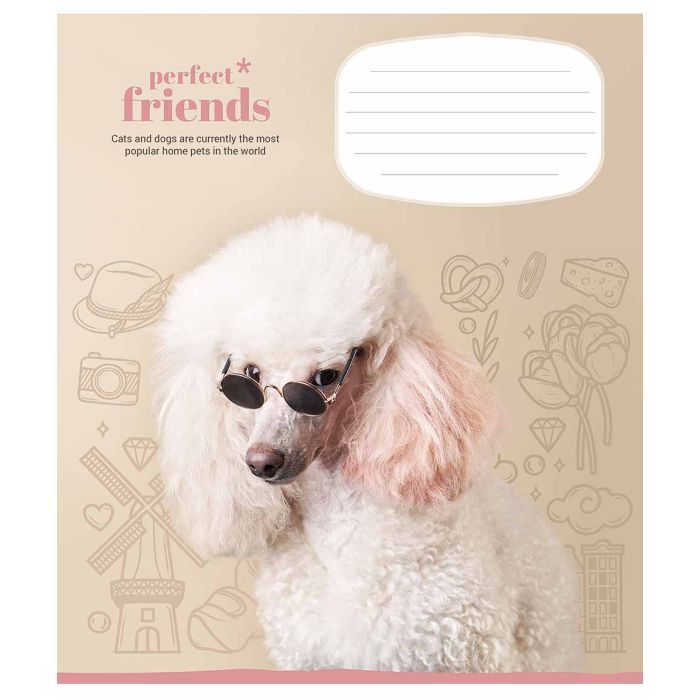 Зошит Школярик Perfect friends 12 аркушів клітинка (012-3250K) зображення 5