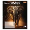 Тетрадь 1 вересня Beasts in FocusА5 48 листов клетка (768060) изображение 5