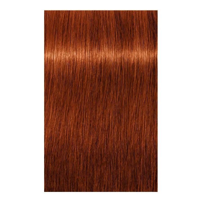 Краска для волос Schwarzkopf Professional Igora Royal 6-00 60 мл (4045787204766) изображение 2