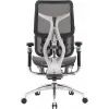 Офисное кресло Sihoo DORO S300 Mesh Dark Grey (S300-M201) изображение 3