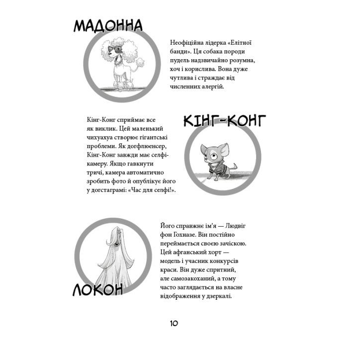 Книга Вулична банда. Книга 1: Лапа лапу миє - Келлі Стронк BookChef (9786175484548) зображення 8
