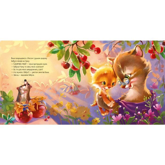 Книга Кошеня і Сонечко - Єва Сольська Ранок (9786170958808) зображення 6