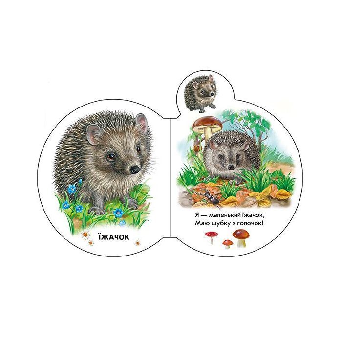 Книга Малята у лісі + Аудіо-бонус - Ірина Сонечко Ранок (9789667508609) зображення 2