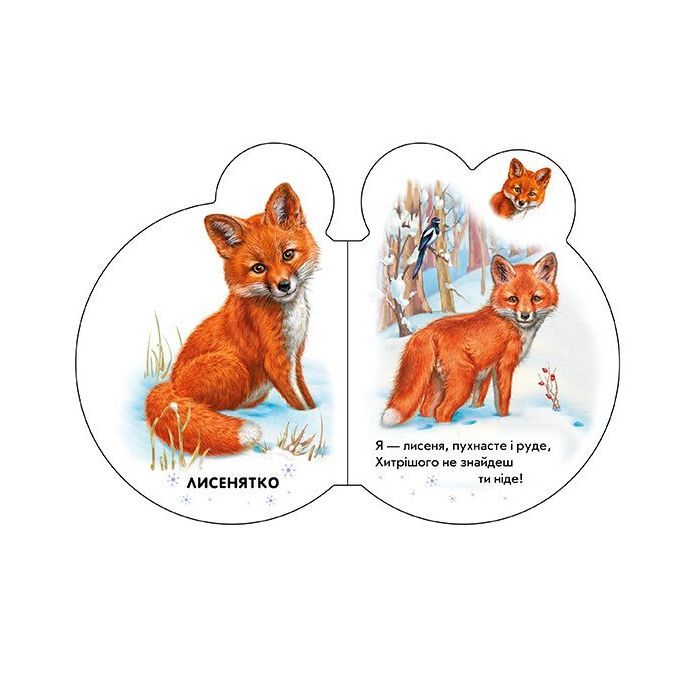 Книга Малята у лісі + Аудіо-бонус - Ірина Сонечко Ранок (9789667508609) зображення 3