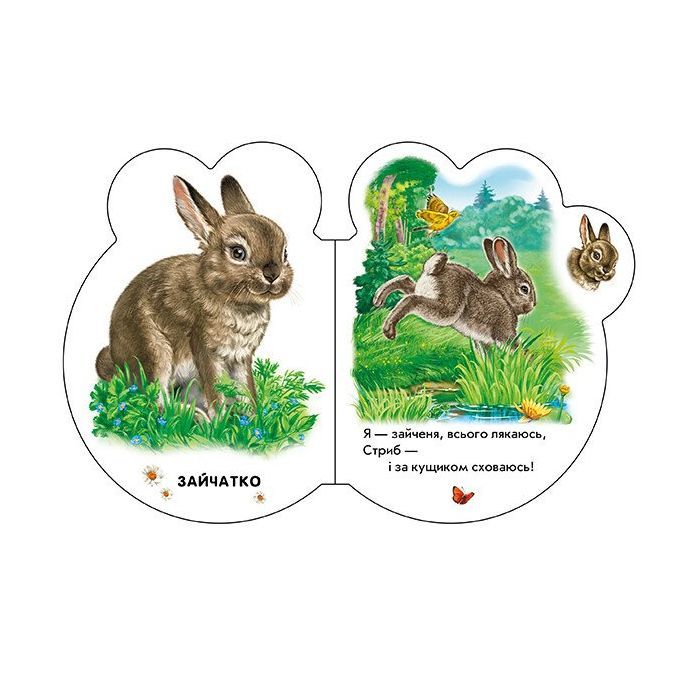 Книга Малята у лісі + Аудіо-бонус - Ірина Сонечко Ранок (9789667508609) зображення 4