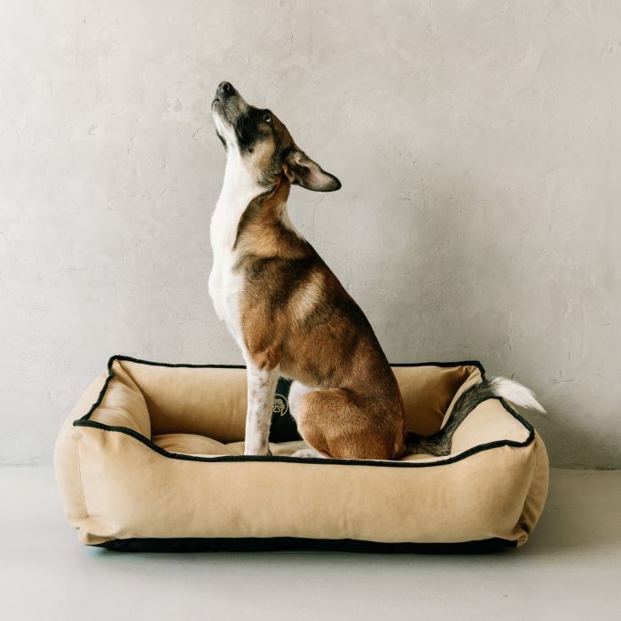 Лежак для животных Savory Pure Zen L 90x80 см (2700000049389) изображение 3