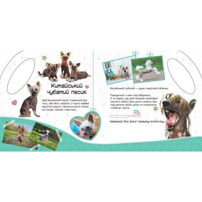 Книга Песики. Мі-мі-мі торбинка - Ю.В. Каспарова Ранок (9789667493974) изображение 3