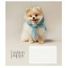 Зошит Школярик Star Fashion pets 18 аркушів лінія (018-3687L) зображення 5