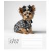 Зошит Школярик Star Fashion pets 18 аркушів лінія (018-3687L)