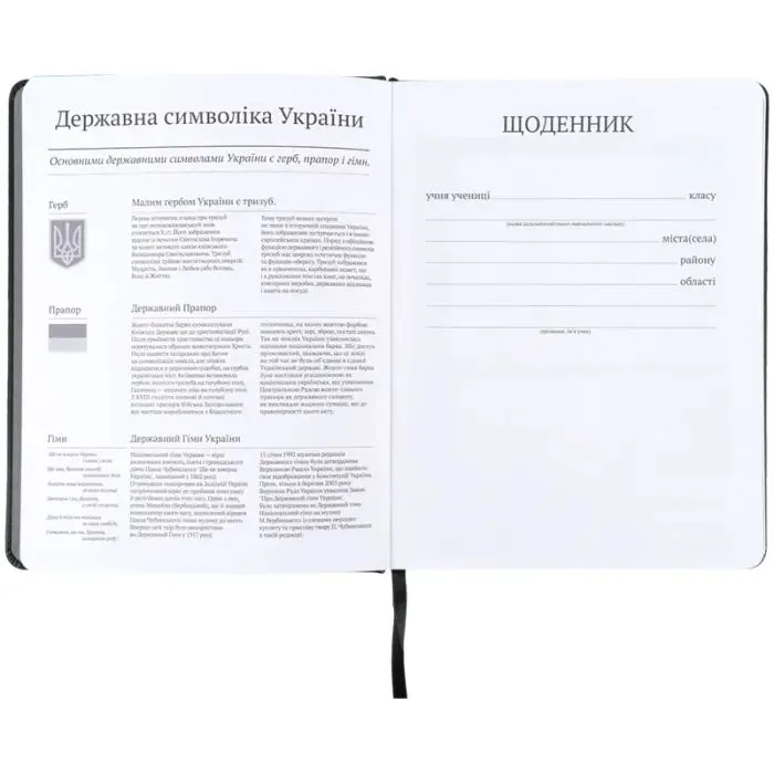 Дневник школьный Kite Skate, твердая обложка (K26-264-3) изображение 3