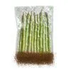 Пакети для вакуумування Solis ECO Bags 20 x 30 см зображення 4