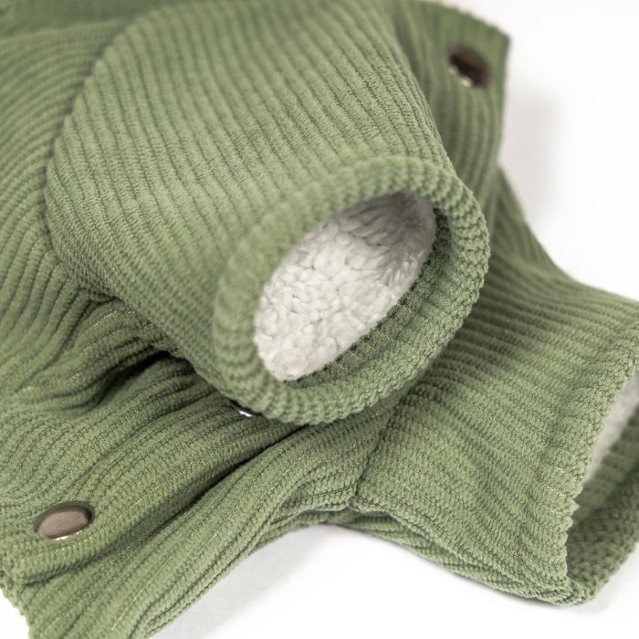 Комбінезон для тварин Pet Fashion Kiwi L (4823082447237) зображення 2
