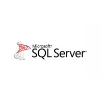 ПО для сервера Microsoft SQL Server Enterprise Edition SNGL SA NL (810-04977)
