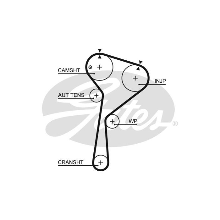 Ремінь ГРМ Gates 5675XS