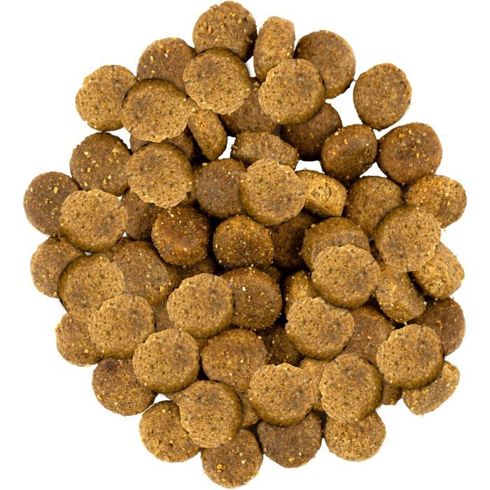 Сухой корм для собак Savory Medium Breed rich in Fresh Turkey and Lamb 1 кг (4820232630259) изображение 4