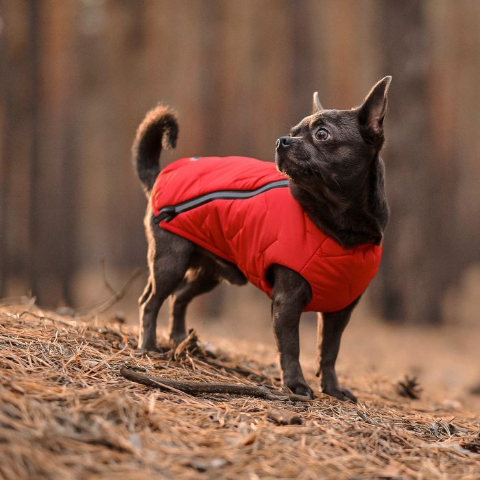 Жилет для животных Pet Fashion "E.Vest" S-M красный (4823082424467) изображение 3