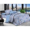 Постельное белье MirSon Бязь Premium №106 Paula 2 2х160х220 (2200001709911)