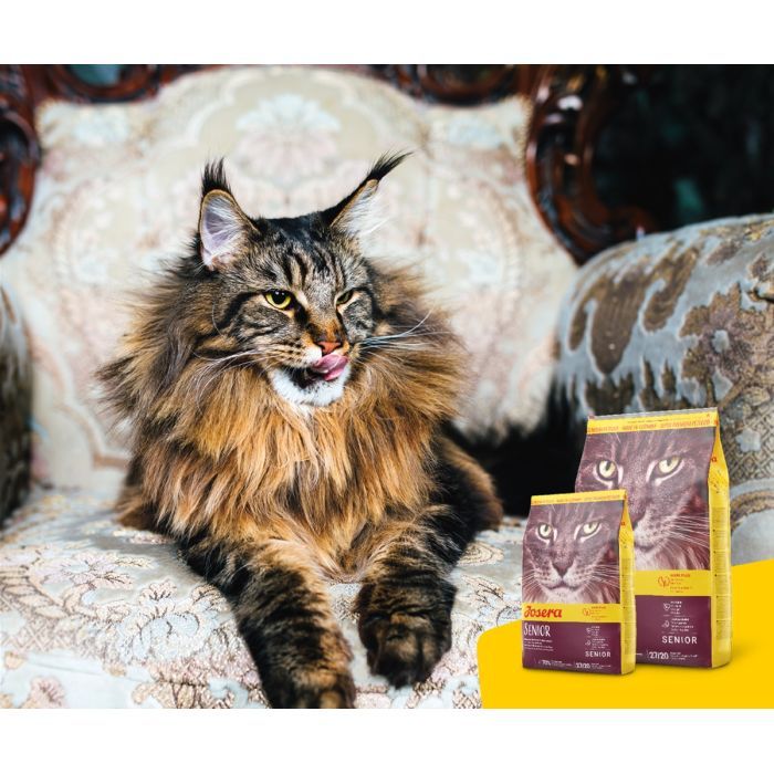 Сухой корм для кошек Josera Senior 2 кг (4032254757832) изображение 7