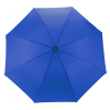 Зонт Economix Promo City тростина автомат, синій (E98407) изображение 2