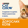 Влажный корм для кошек Purina Cat Chow Adult с курицей и кабачками в желе 85г (7613036595049) изображение 5