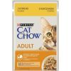 Влажный корм для кошек Purina Cat Chow Adult с курицей и кабачками в желе 85г (7613036595049)