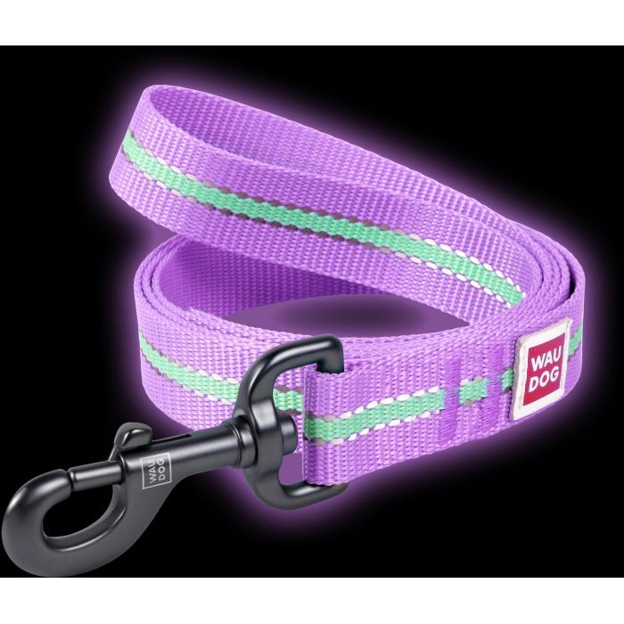 Поводок для собак WAUDOG Nylon светонакопительный M Ш 20 голубой (45742) изображение 4