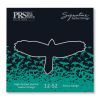 Струни для гітари PRS Signature Heavy Guitar Strings 12-52 (100148006001004)