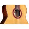 Гитара классическая Cordoba C7 CD изображение 3