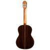 Гитара классическая Cordoba C7 CD изображение 6