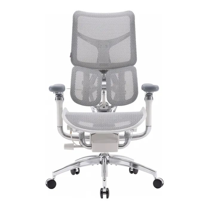 Офисное кресло Sihoo DORO S300 Mesh Dark Grey (S300-M201) изображение 2