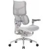 Офисное кресло Sihoo DORO S300 Mesh Light Grey (S300-M202)
