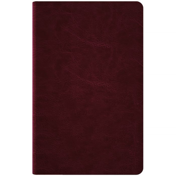 Еженедельник Axent датированный 2026 Partner City Soft 125х195, серый (8521-26-06-A) изображение 4