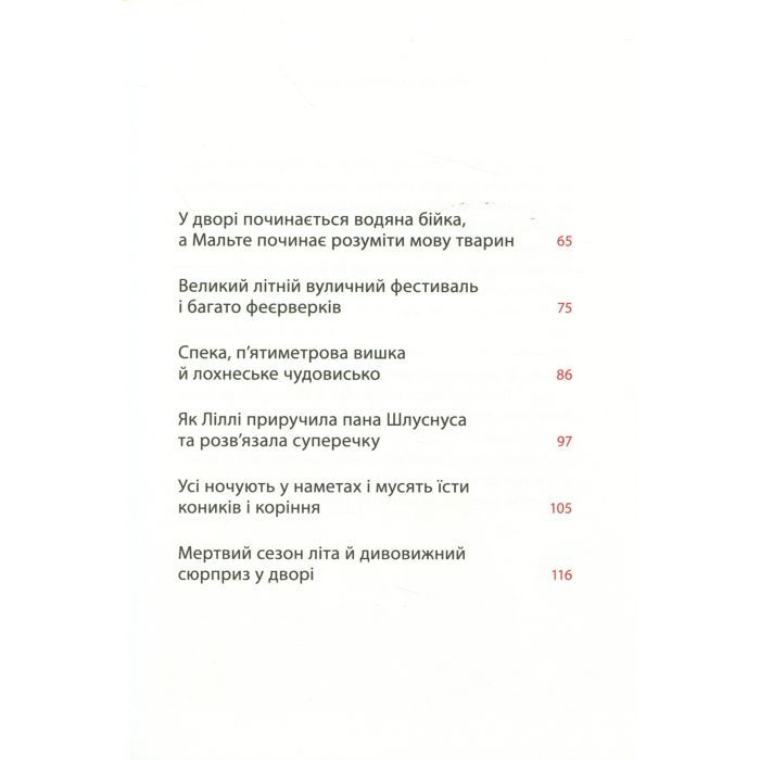 Книга Весна на Бузиновій вулиці - Мартіна Баумбах Ранок (9786170969156) зображення 8