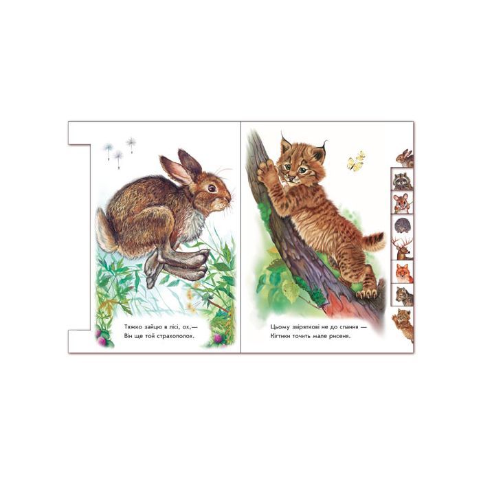 Книга У лісі. З аудіосупроводом - Геннадій Меламед Ранок (9789667502096) изображение 3