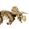 Конструктор LEGO Jurassic Park Окаменелости динозавров: Трицератопс (77985) изображение 5