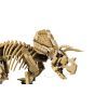 Конструктор LEGO Jurassic Park Окаменелости динозавров: Трицератопс (77985) изображение 6