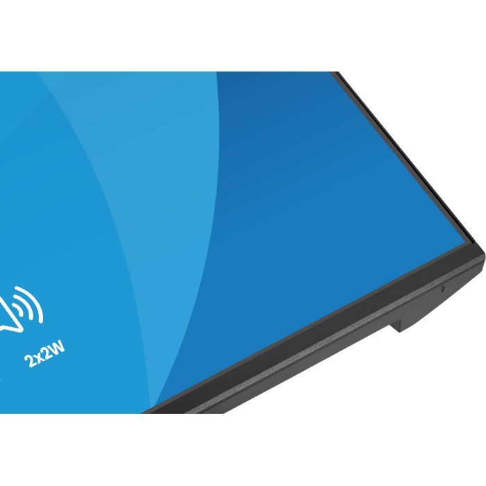 Монитор iiyama X2491HS-B1 изображение 10